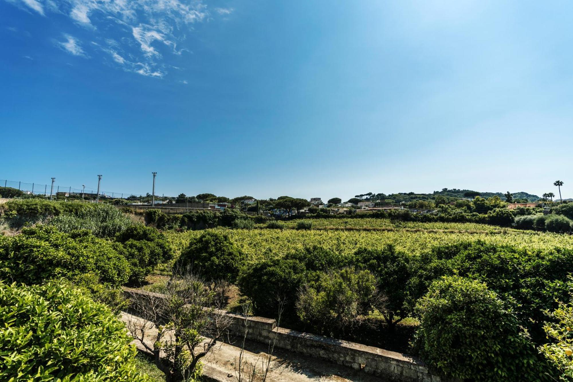 Tenuta Calitto Wine E Resort