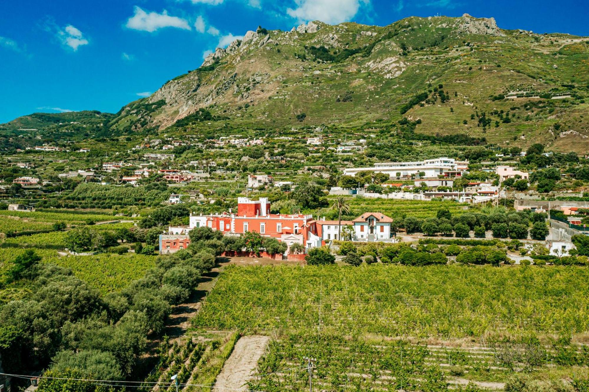 Tenuta Calitto Wine E Resort Ischia