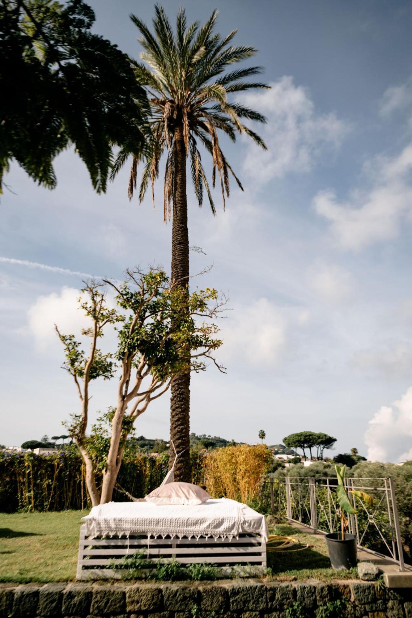 Tenuta Calitto Wine E * Ischia