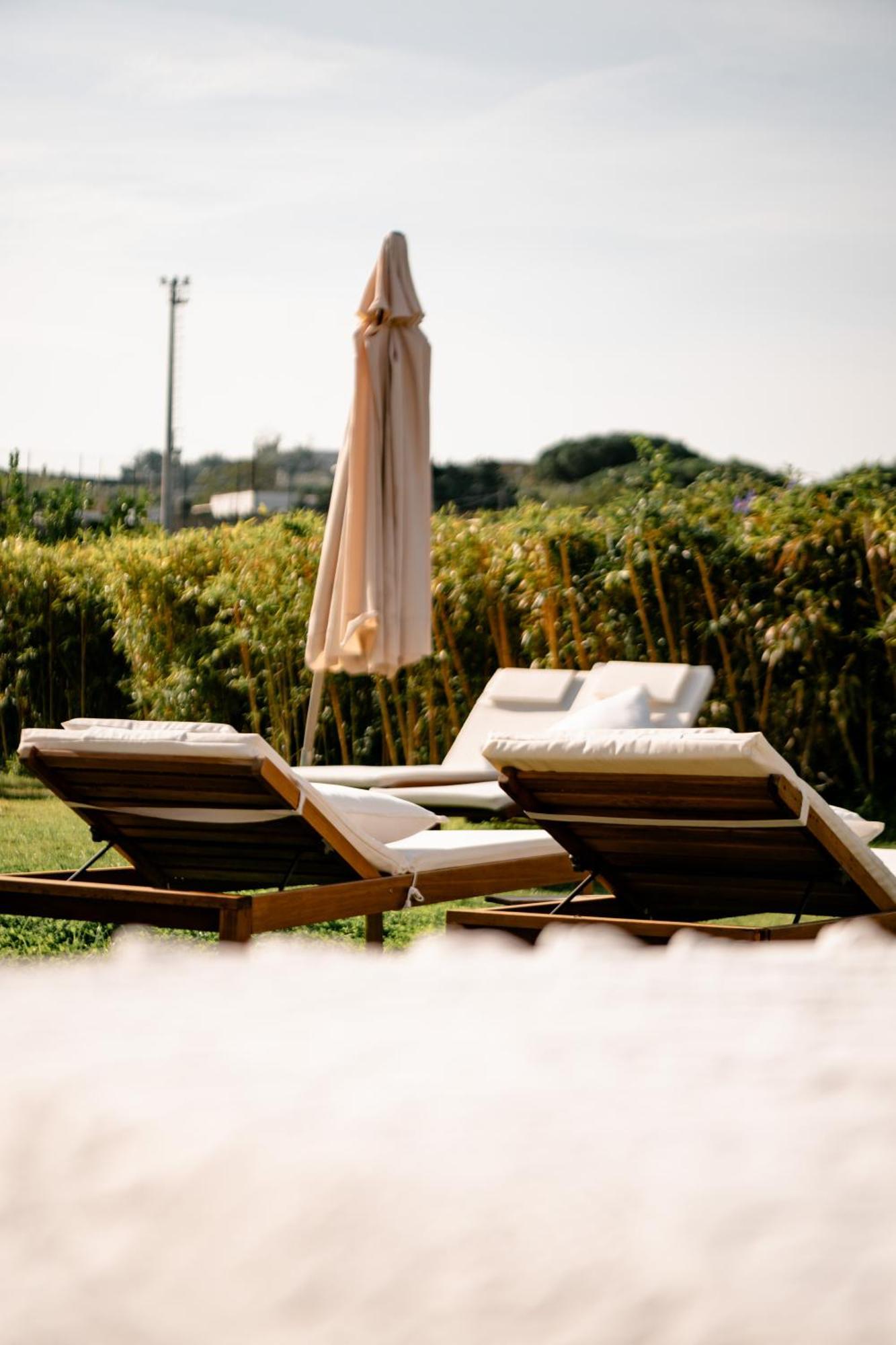 Tenuta Calitto Wine E * Ischia