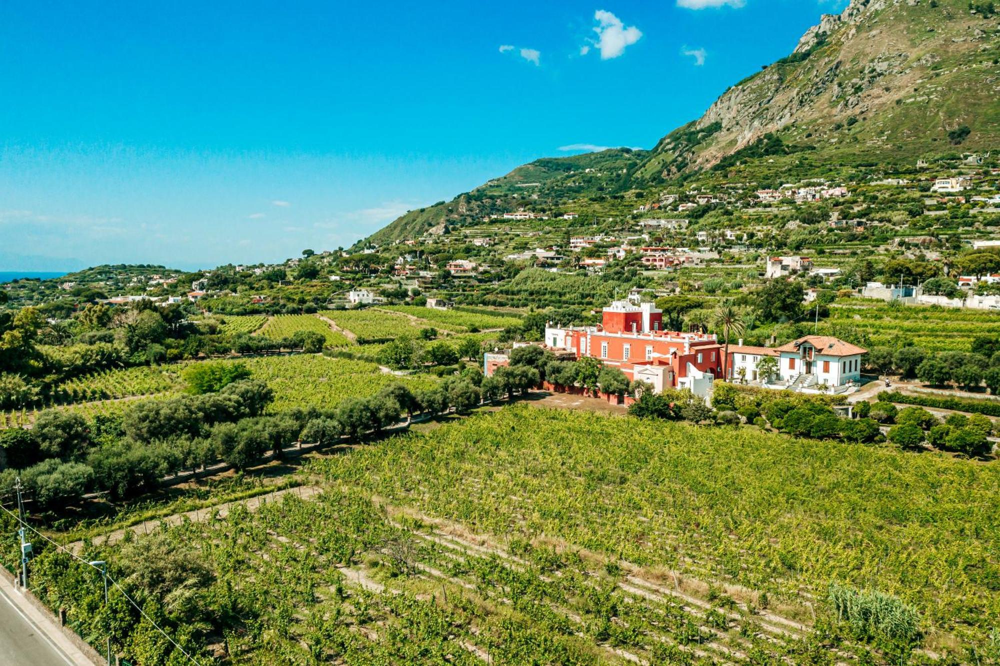 Tenuta Calitto Wine E * Ischia